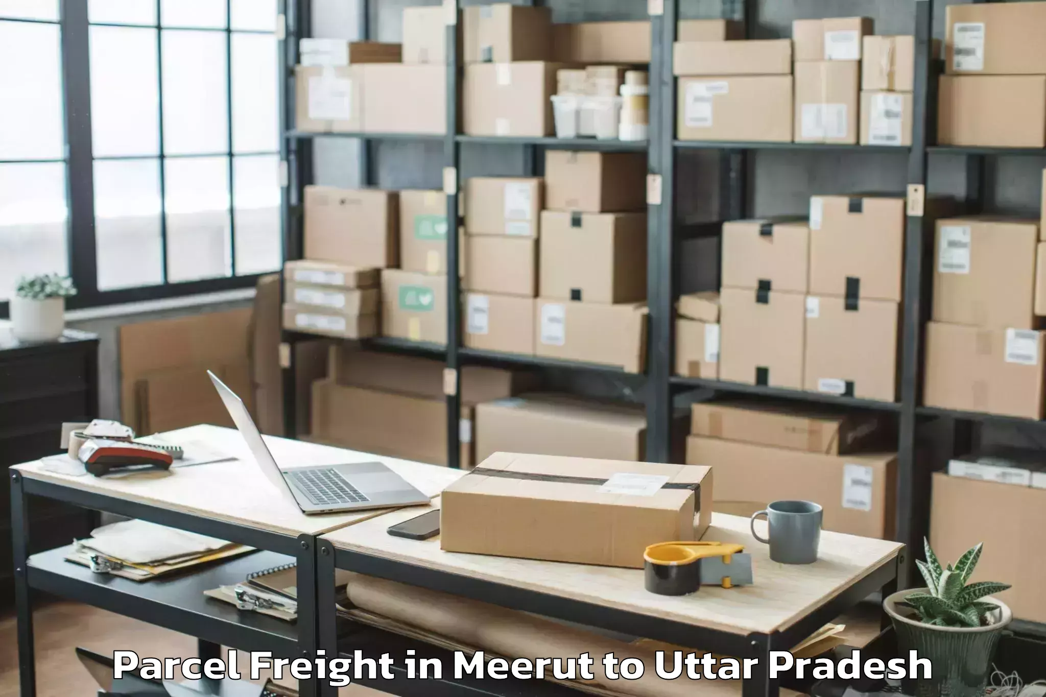 Meerut to Unnao Parcel Freight Booking